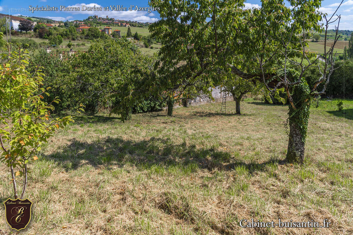Terrain à LE BOIS-D&#039;OINGT