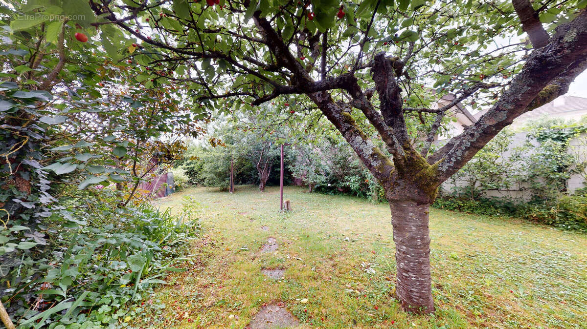 Maison à BOIS-D&#039;ARCY