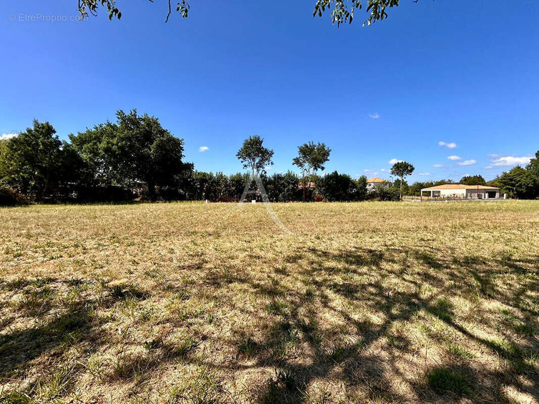 Terrain à MONTILLIERS