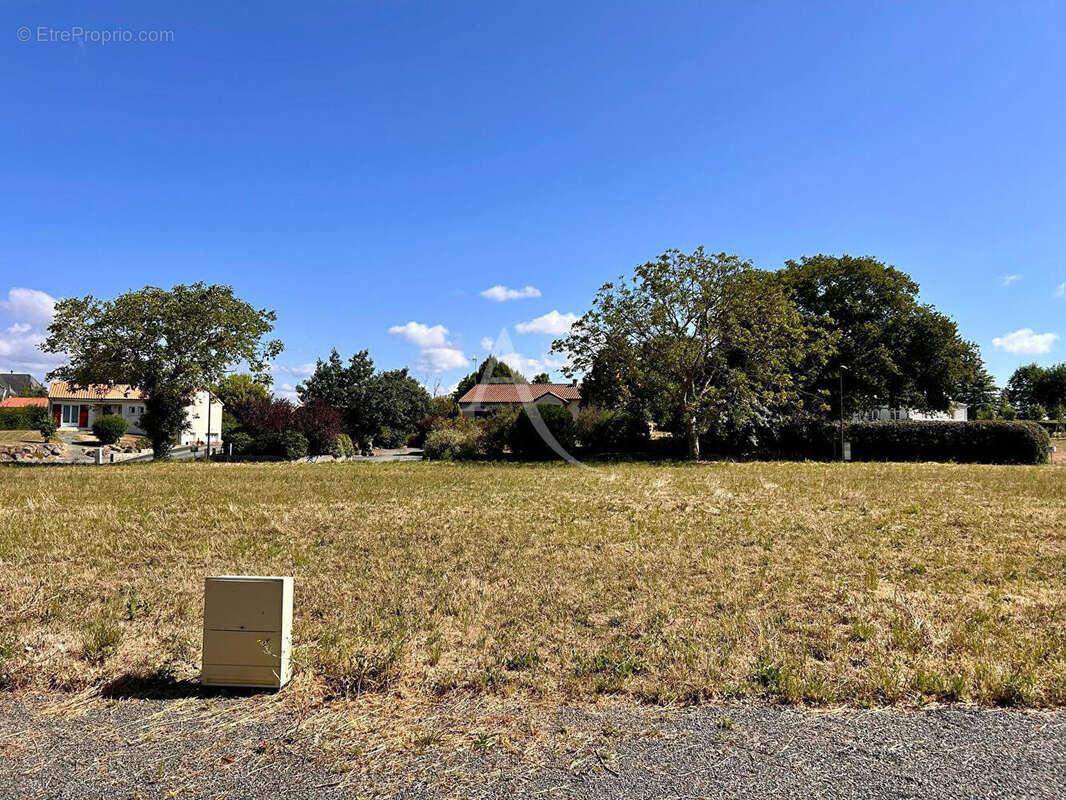 Terrain à MONTILLIERS