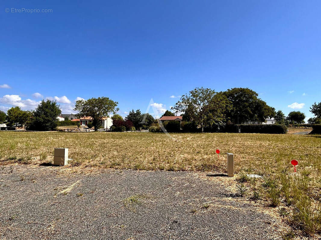 Terrain à MONTILLIERS