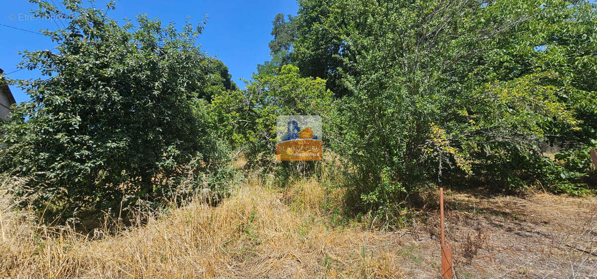 Terrain à SAINT-JEAN-DE-BOISEAU