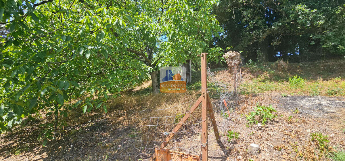 Terrain à SAINT-JEAN-DE-BOISEAU