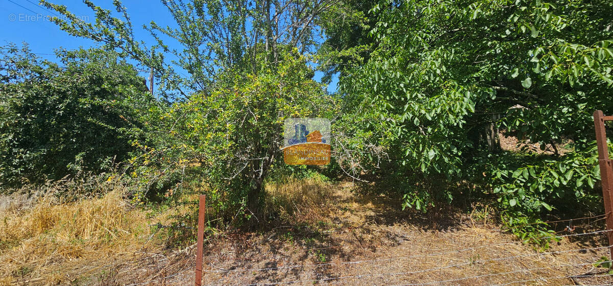 Terrain à SAINT-JEAN-DE-BOISEAU