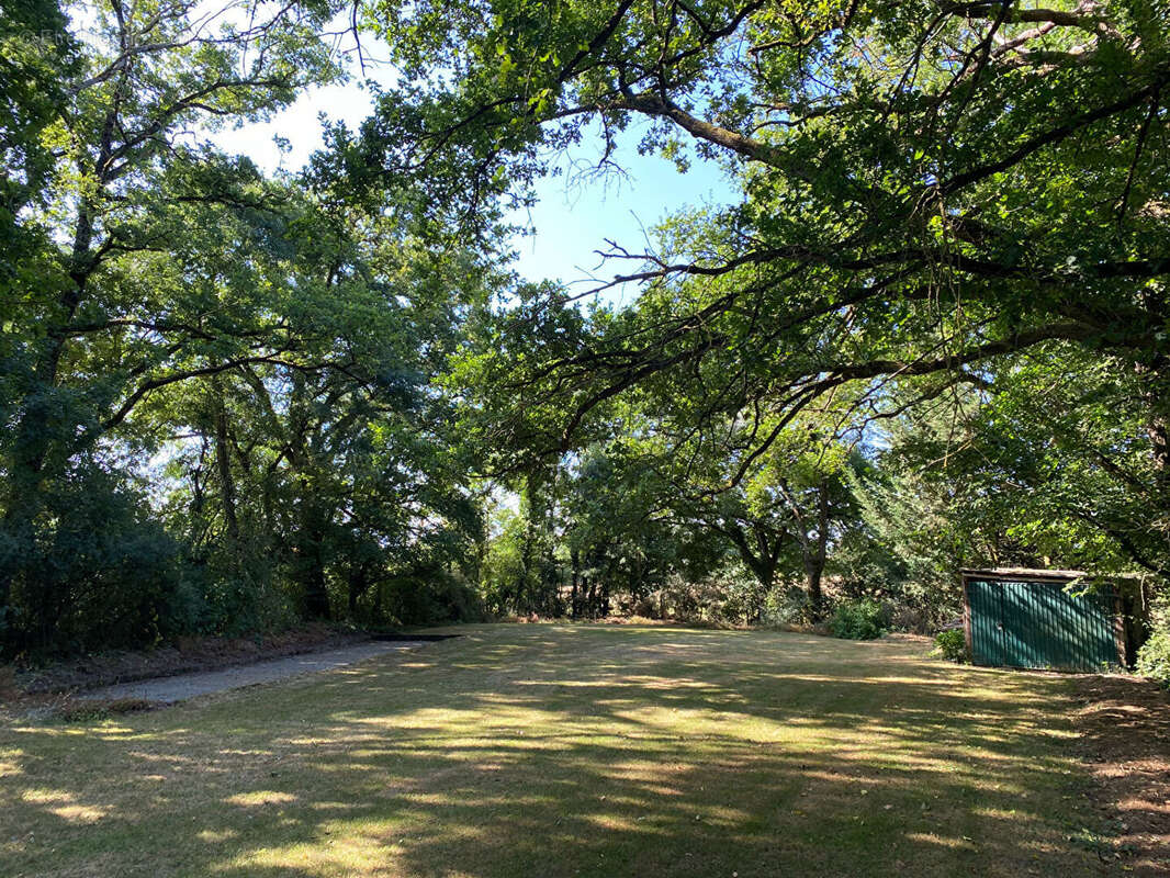 Terrain à MAULEVRIER