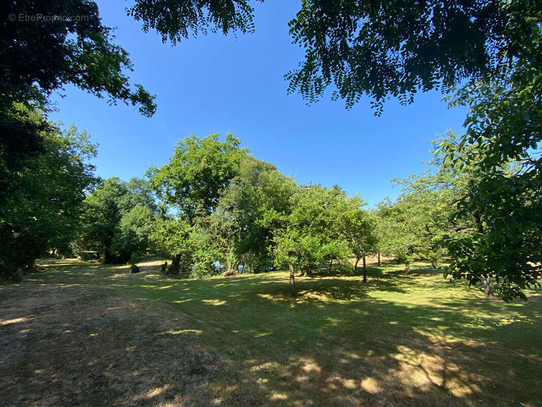 Terrain à MAULEVRIER