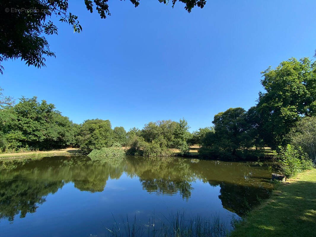 Terrain à MAULEVRIER
