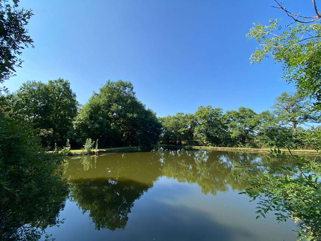 Terrain à MAULEVRIER