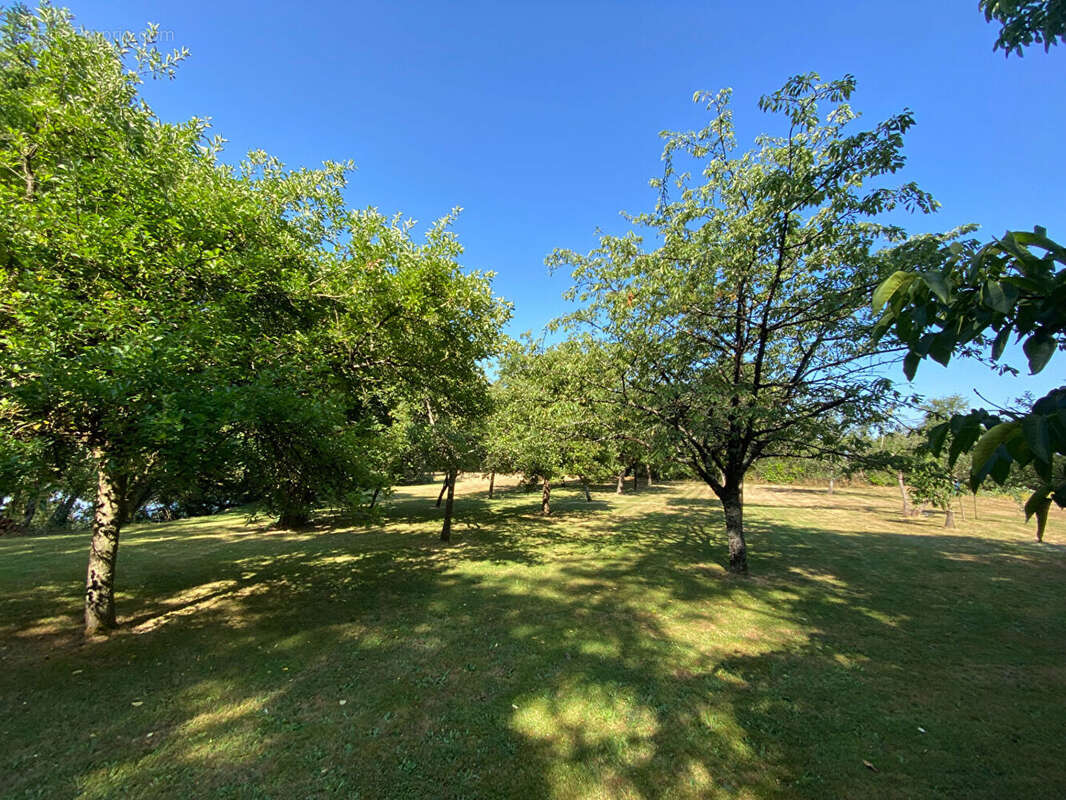 Terrain à MAULEVRIER