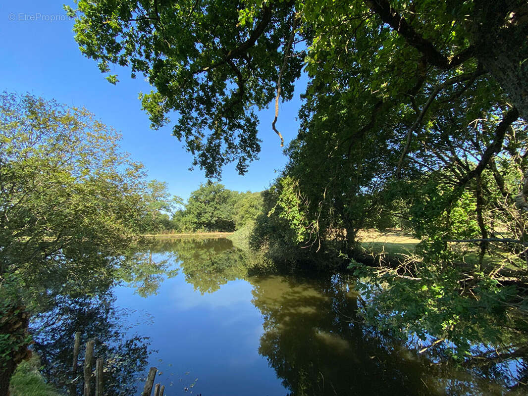 Terrain à MAULEVRIER