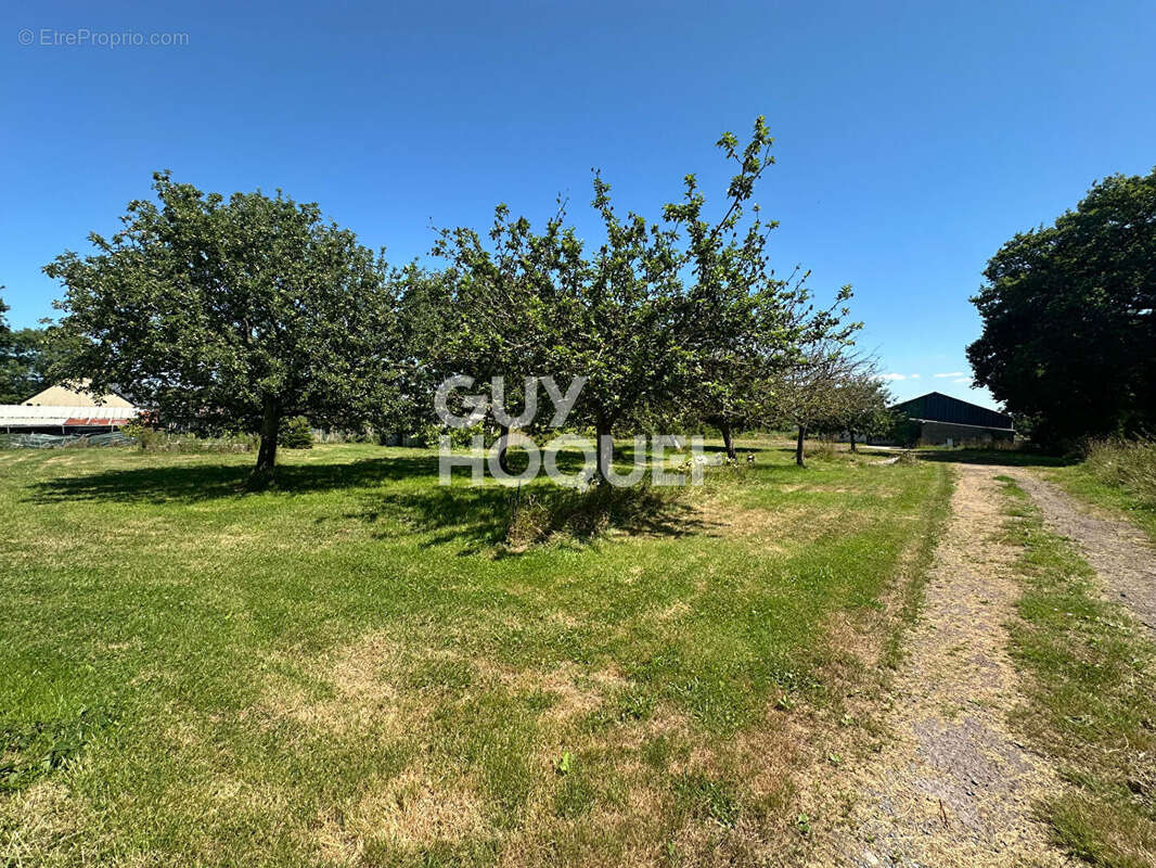 Maison à MARCHESIEUX