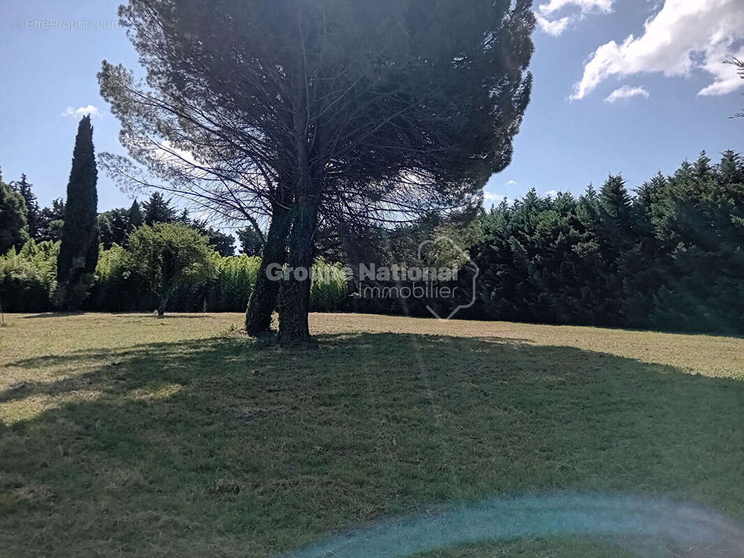 Terrain à SAINT-REMY-DE-PROVENCE