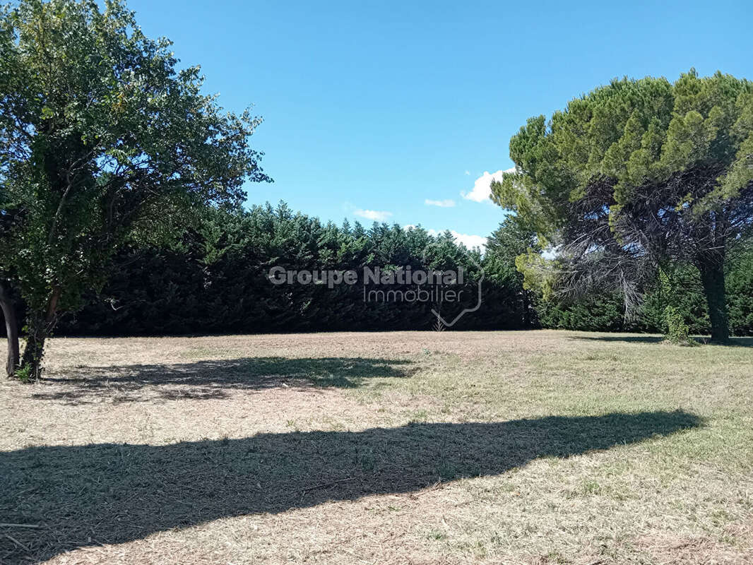 Terrain à SAINT-REMY-DE-PROVENCE