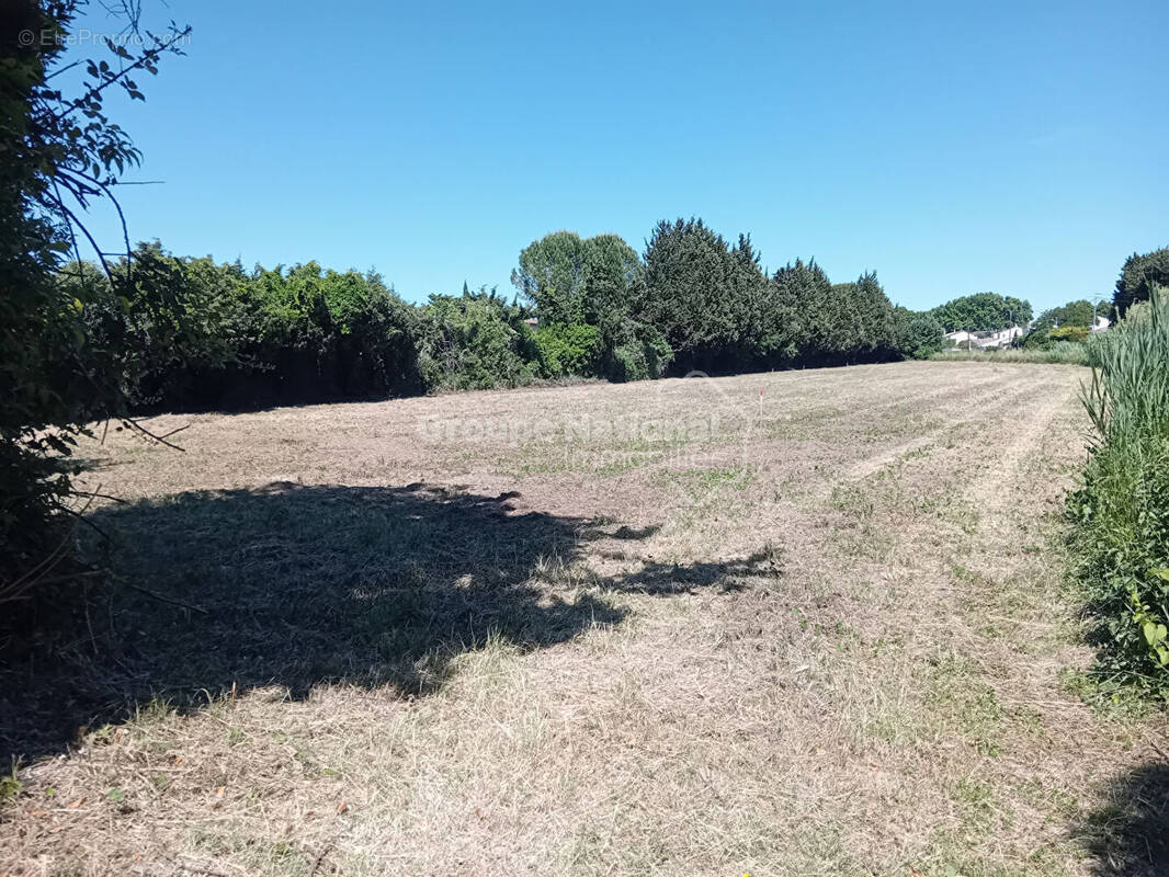 Terrain à FONTVIEILLE