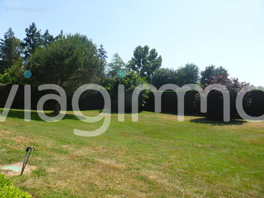 Maison à SAINT-PAUL-EN-PAREDS