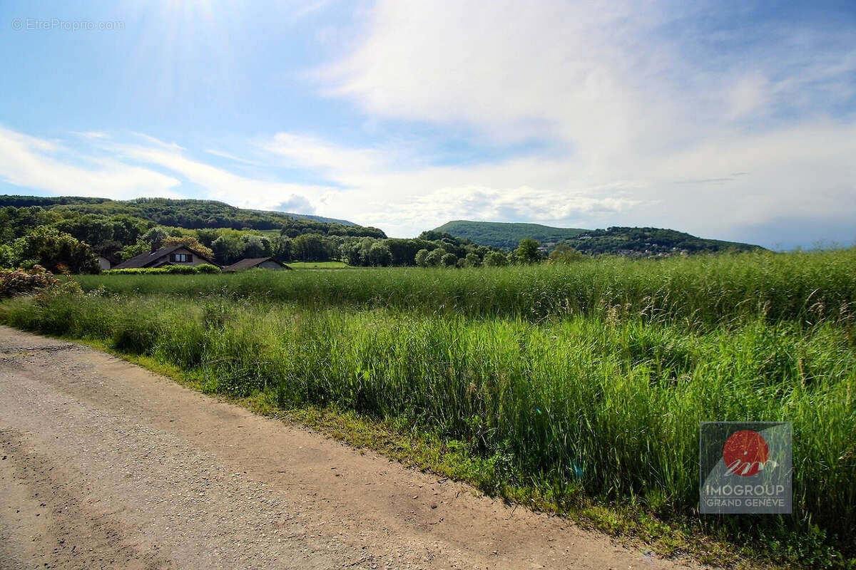 Appartement à REIGNIER