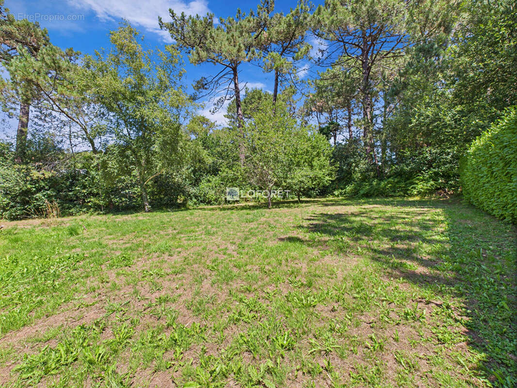 Maison à CLOHARS-FOUESNANT