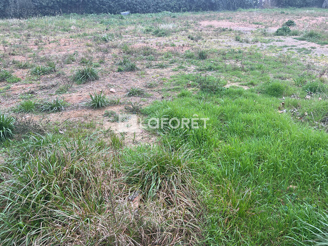 Terrain à VENDEMIAN