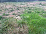 Terrain à VENDEMIAN