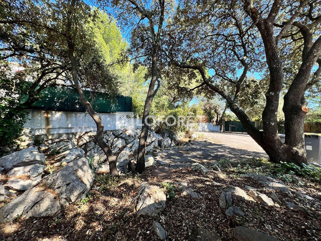 Maison à CASTELNAU-LE-LEZ