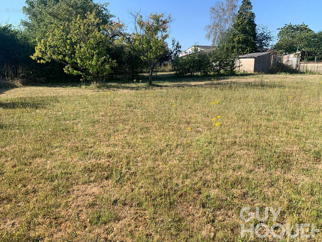 Terrain à OUZOUER-LE-MARCHE