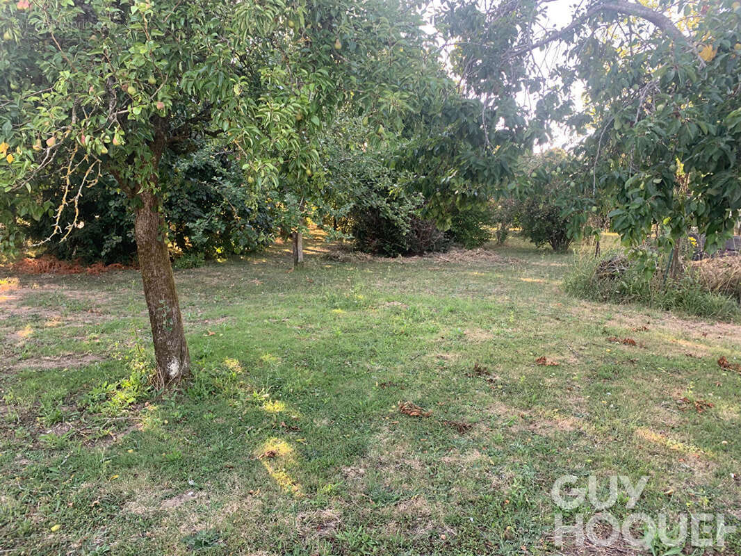 Terrain à OUZOUER-LE-MARCHE