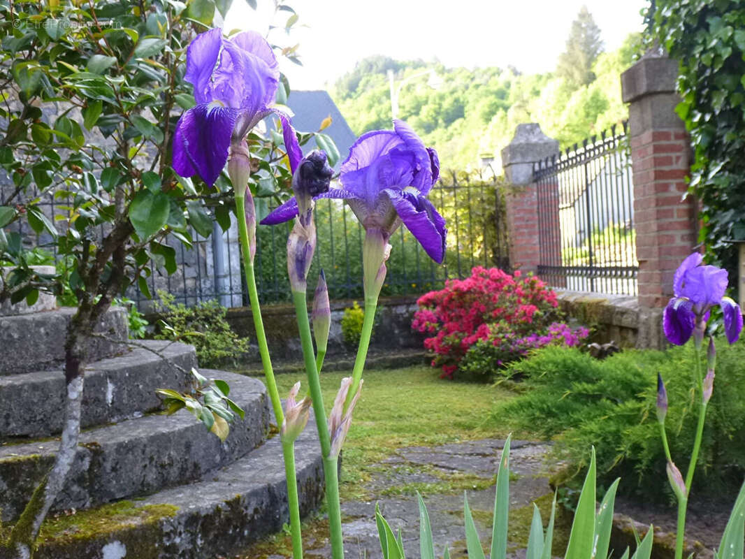 Maison à SAINT-CHAMANT
