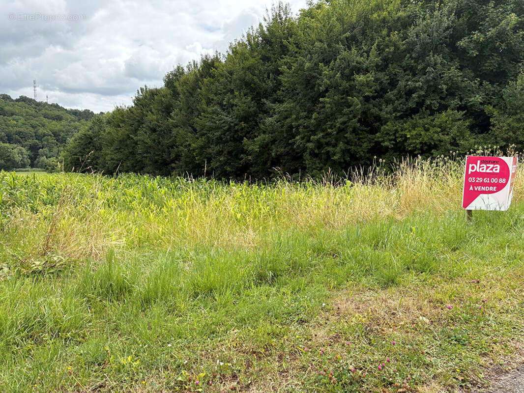 Terrain à MATTAINCOURT