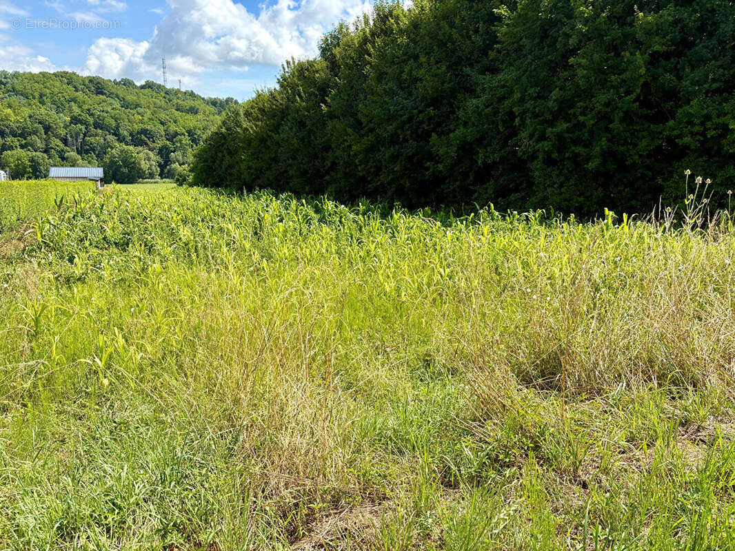 Terrain à MATTAINCOURT
