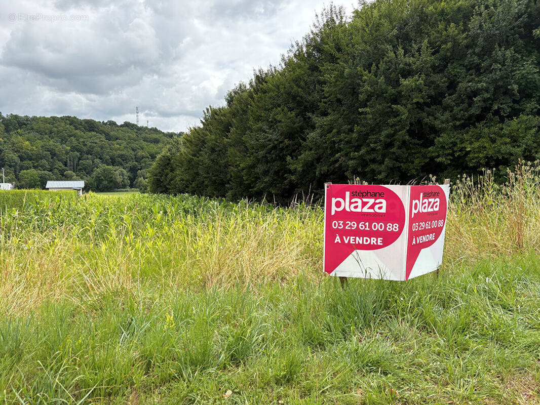 Terrain à MATTAINCOURT