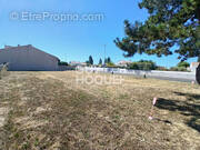 Terrain à DOLUS-D&#039;OLERON