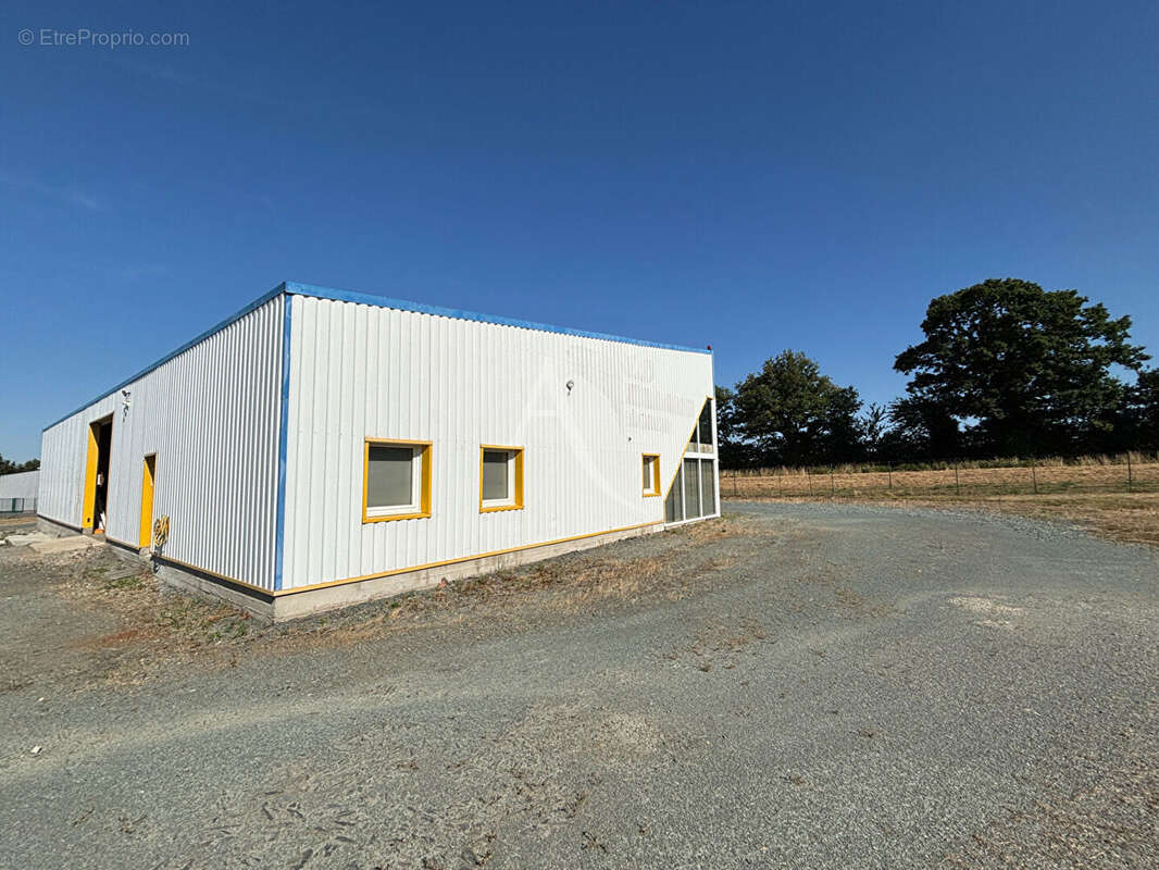 Commerce à GUEMENE-PENFAO