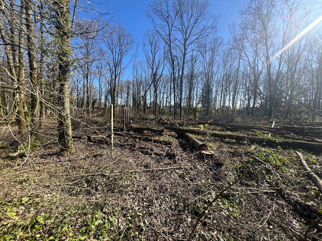 Terrain à MONTLHERY