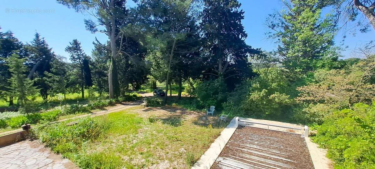 Photo 2 - Maison à MONTAGNAC