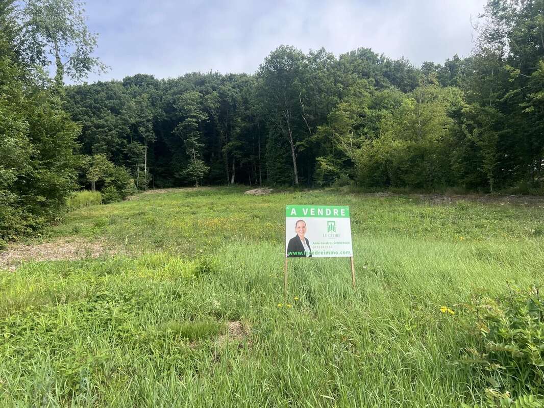 Terrain à ROUGEMONT-LE-CHATEAU