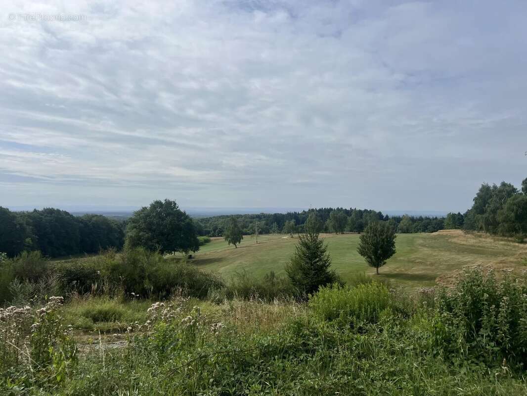 Terrain à ROUGEMONT-LE-CHATEAU