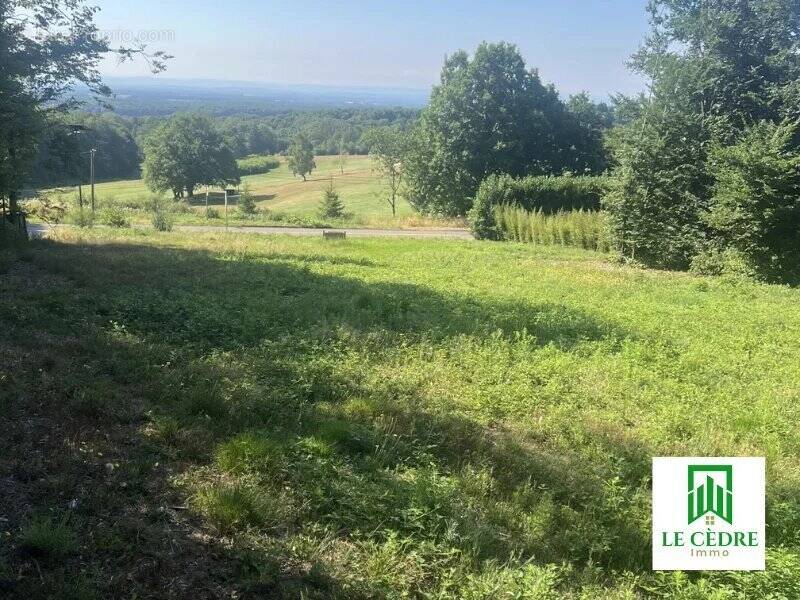 Terrain à ROUGEMONT-LE-CHATEAU