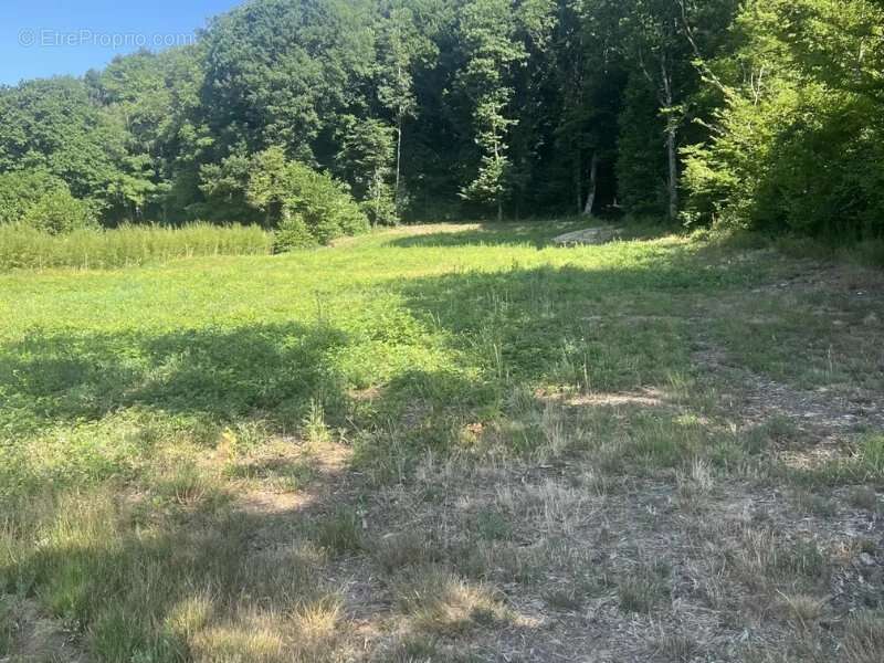 Terrain à ROUGEMONT-LE-CHATEAU