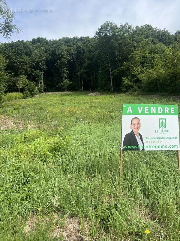 Terrain à ROUGEMONT-LE-CHATEAU
