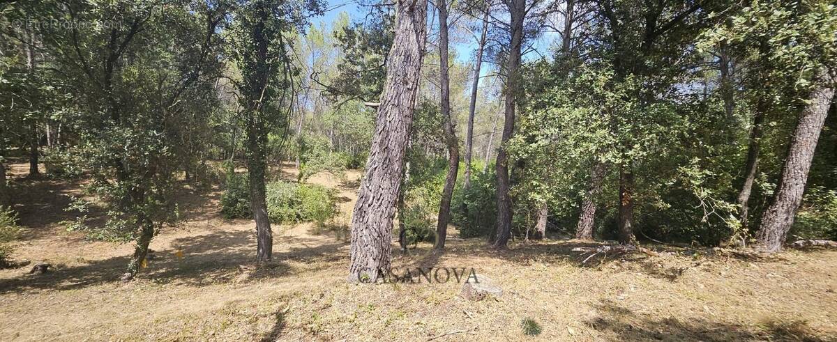 Terrain à SAINT-CLEMENT-DE-RIVIERE