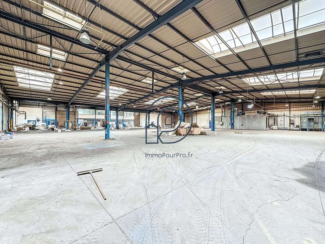 Commerce à SAINT-AMAND-LES-EAUX