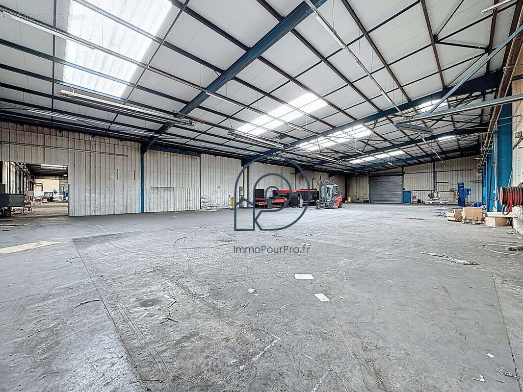 Commerce à SAINT-AMAND-LES-EAUX