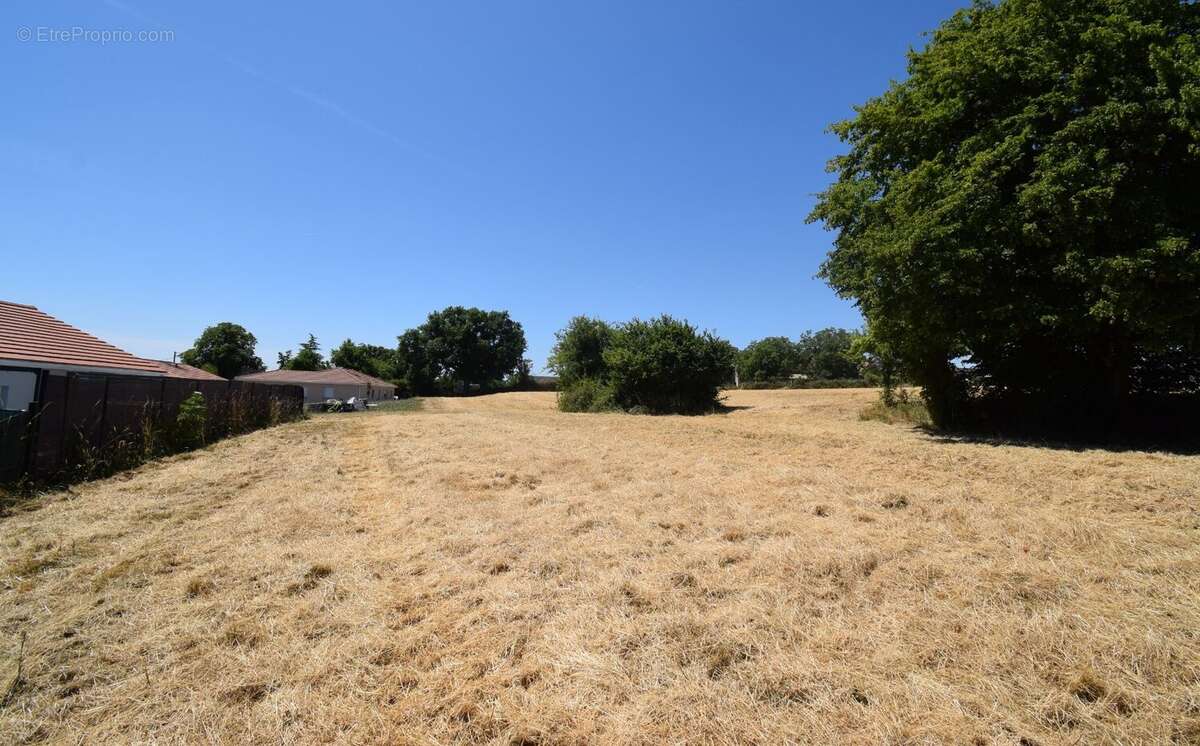 Terrain à ESPINASSE-VOZELLE