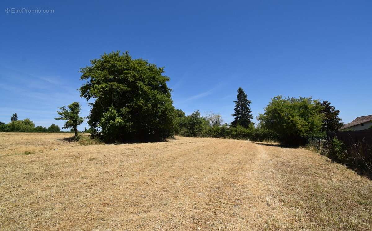 Terrain à ESPINASSE-VOZELLE