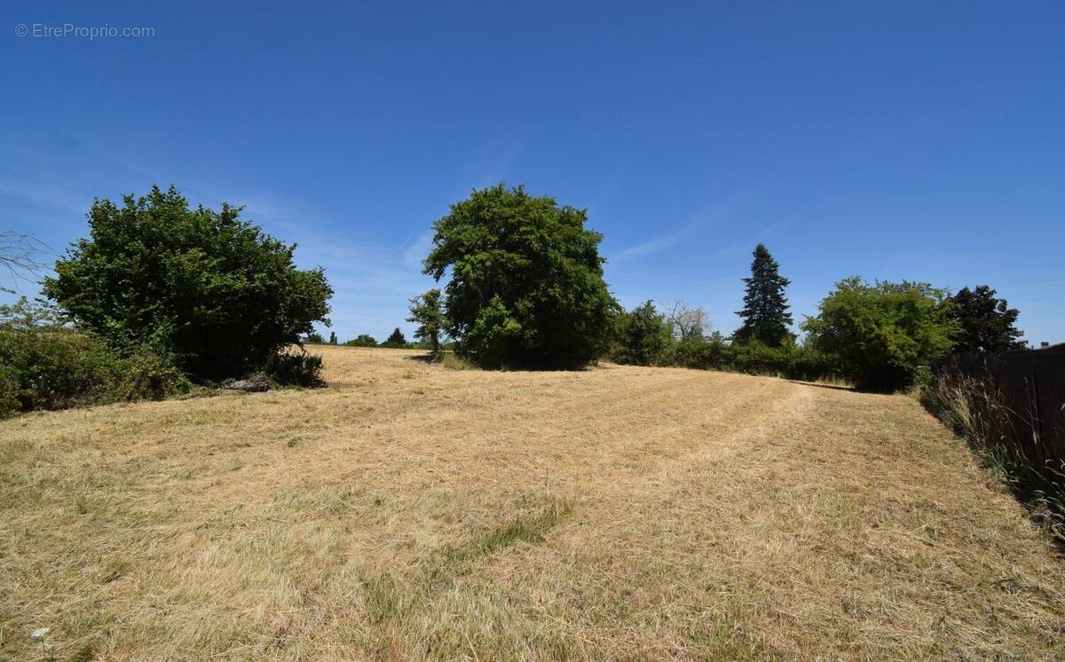 Terrain à ESPINASSE-VOZELLE