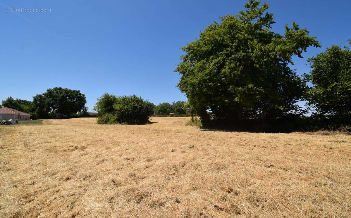 Terrain à ESPINASSE-VOZELLE