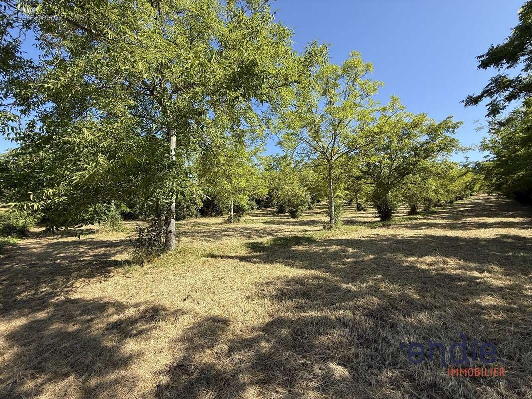 Terrain à MONCLAR-DE-QUERCY