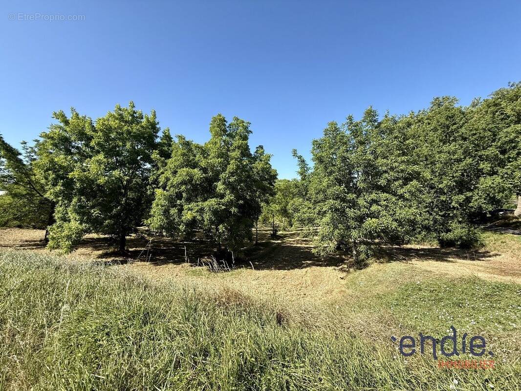Terrain à MONCLAR-DE-QUERCY