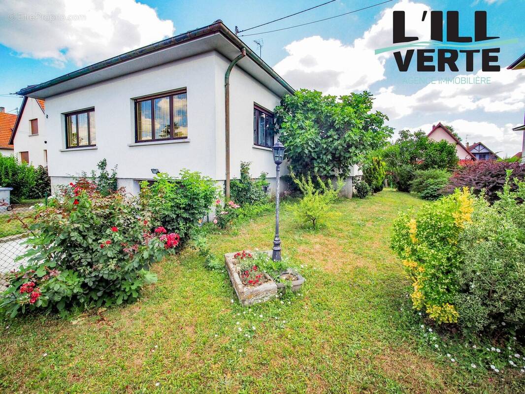 Maison à VENDENHEIM