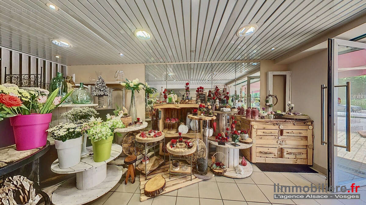 Commerce à SAINTE-MARGUERITE